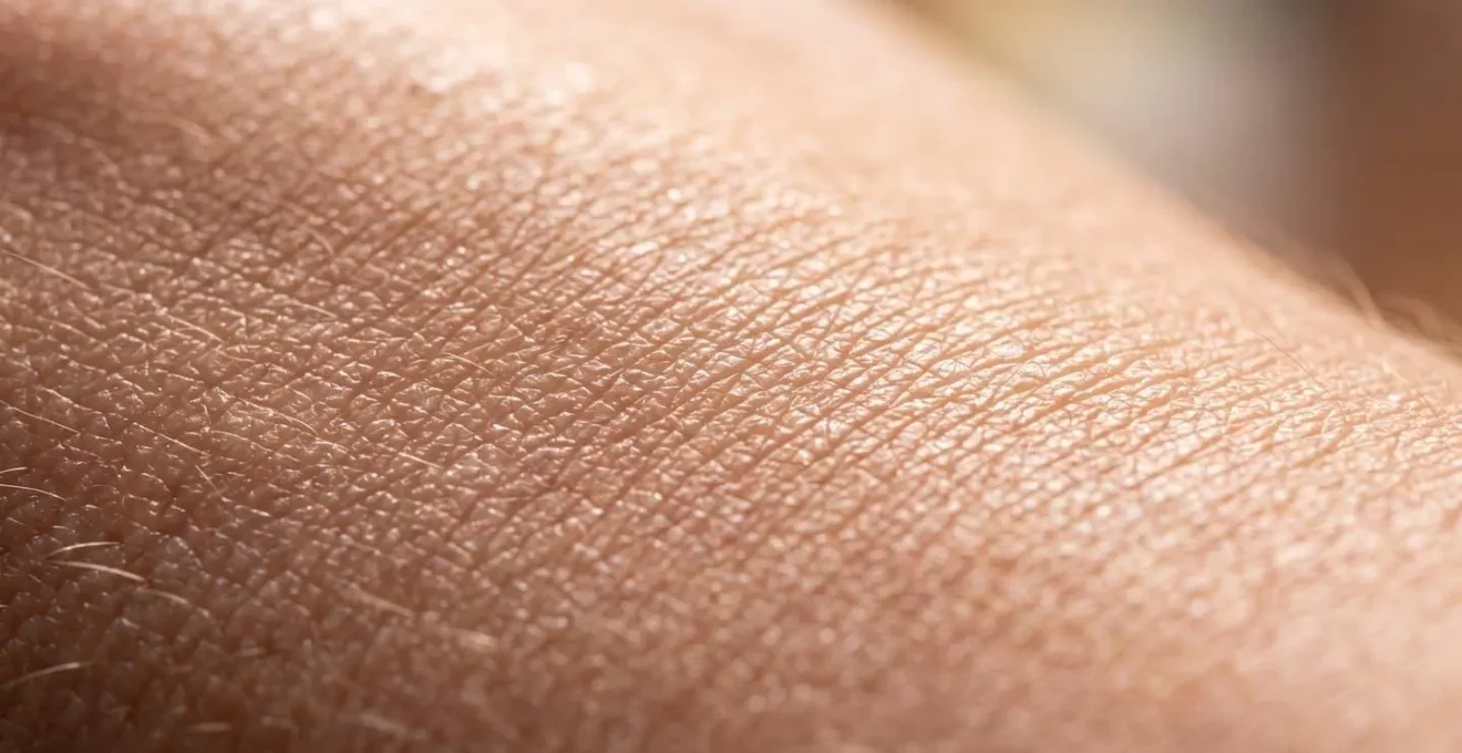 Makroaufnahme der Hautstruktur mit sichtbaren Lipidschichten